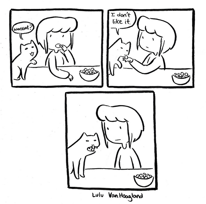 51 Comics By Lulu VanHoagland That Purrfectly Capture Life With Cats