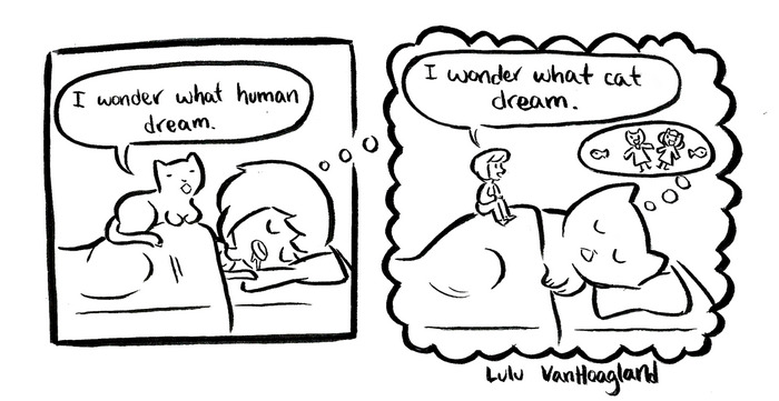 51 Comics By Lulu VanHoagland That Purrfectly Capture Life With Cats