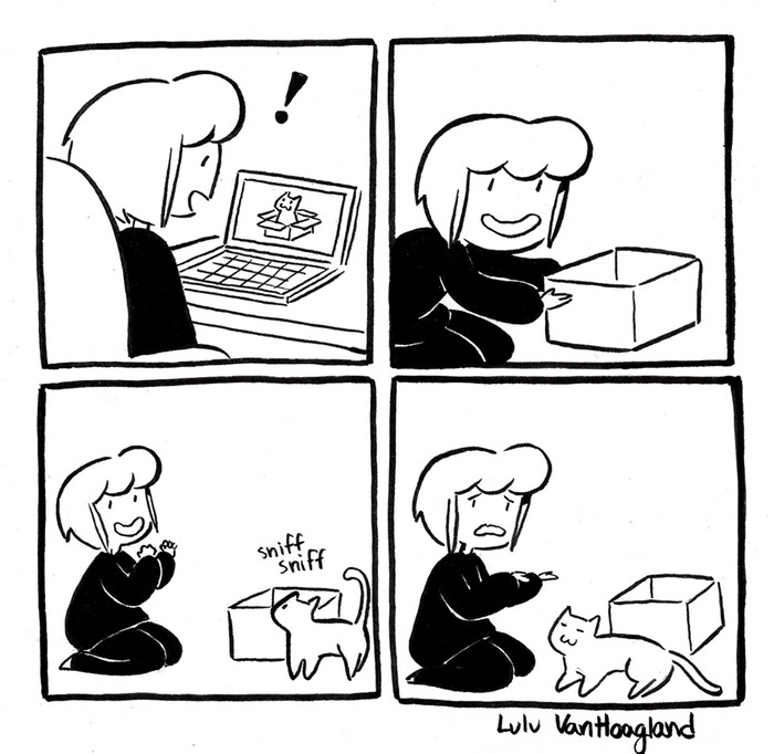 51 Comics By Lulu VanHoagland That Purrfectly Capture Life With Cats