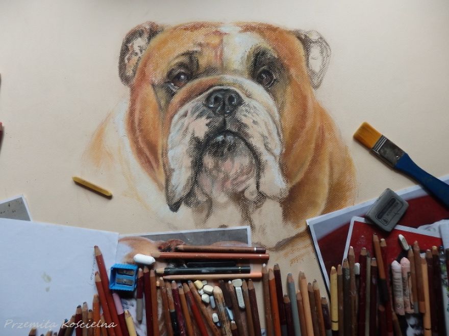 I Draw Portraits Of Dogs
