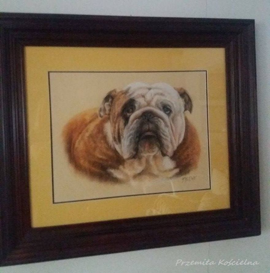 I Draw Portraits Of Dogs