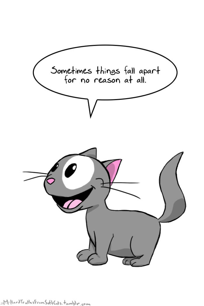 71 Brutal Life Truths Told By Cute Cats Will Give You Mixed Feelings