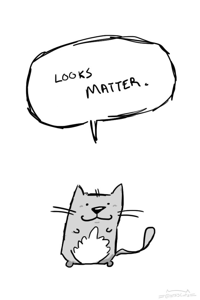 71 Brutal Life Truths Told By Cute Cats Will Give You Mixed Feelings