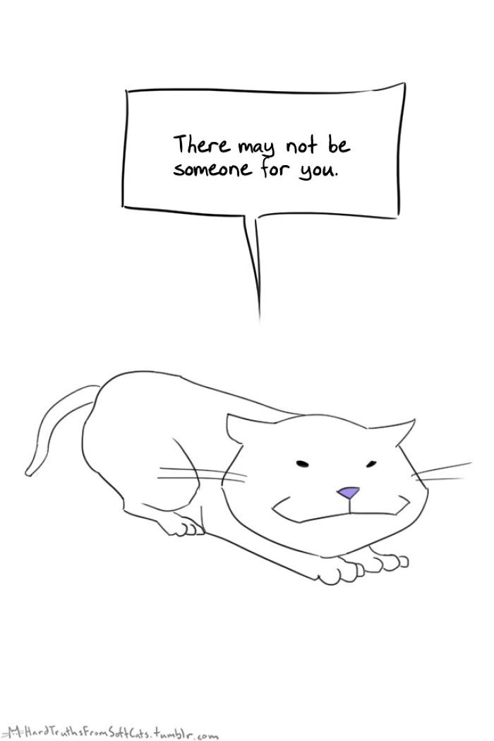 71 Brutal Life Truths Told By Cute Cats Will Give You Mixed Feelings
