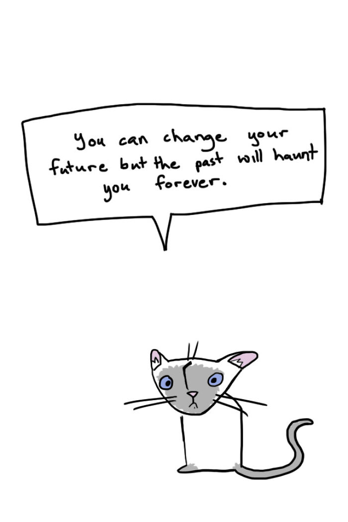71 Brutal Life Truths Told By Cute Cats Will Give You Mixed Feelings