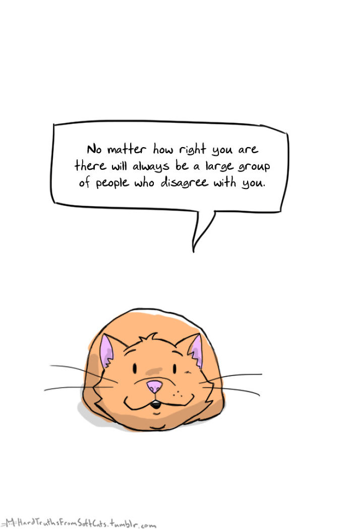 71 Brutal Life Truths Told By Cute Cats Will Give You Mixed Feelings