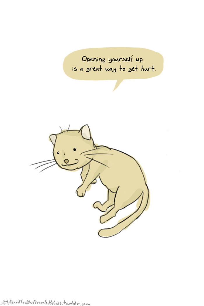71 Brutal Life Truths Told By Cute Cats Will Give You Mixed Feelings