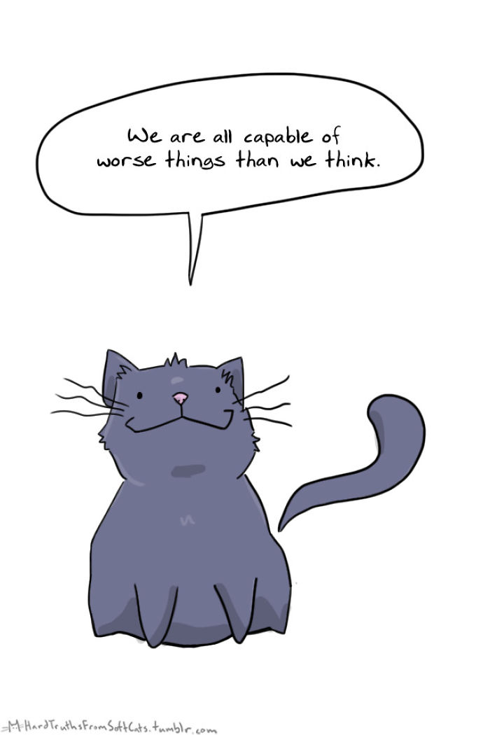 71 Brutal Life Truths Told By Cute Cats Will Give You Mixed Feelings