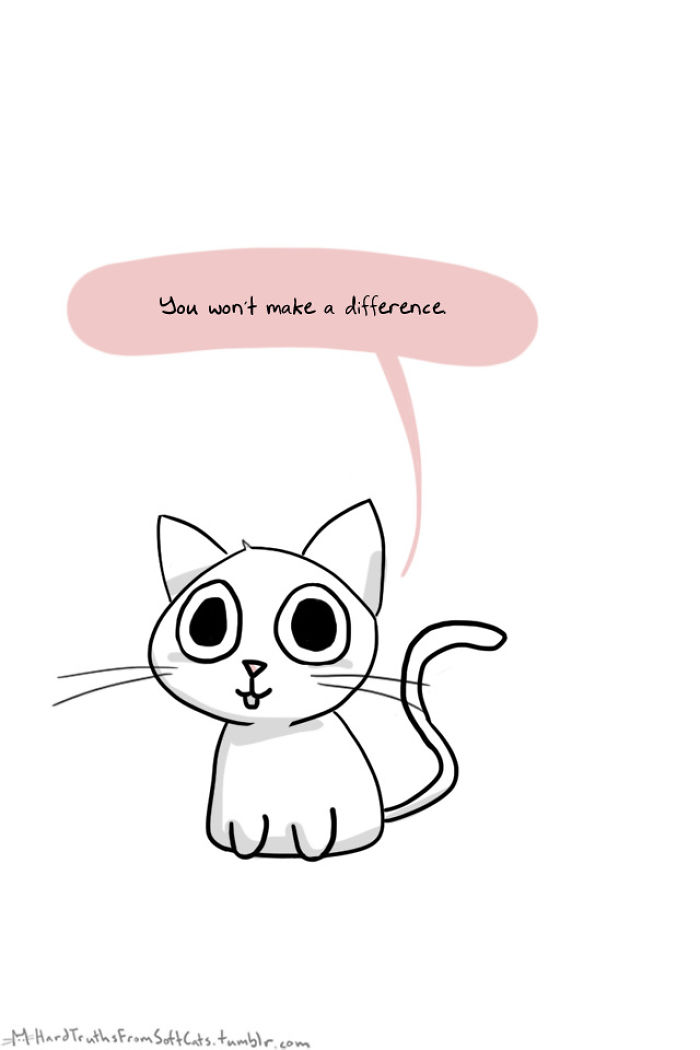 71 Brutal Life Truths Told By Cute Cats Will Give You Mixed Feelings