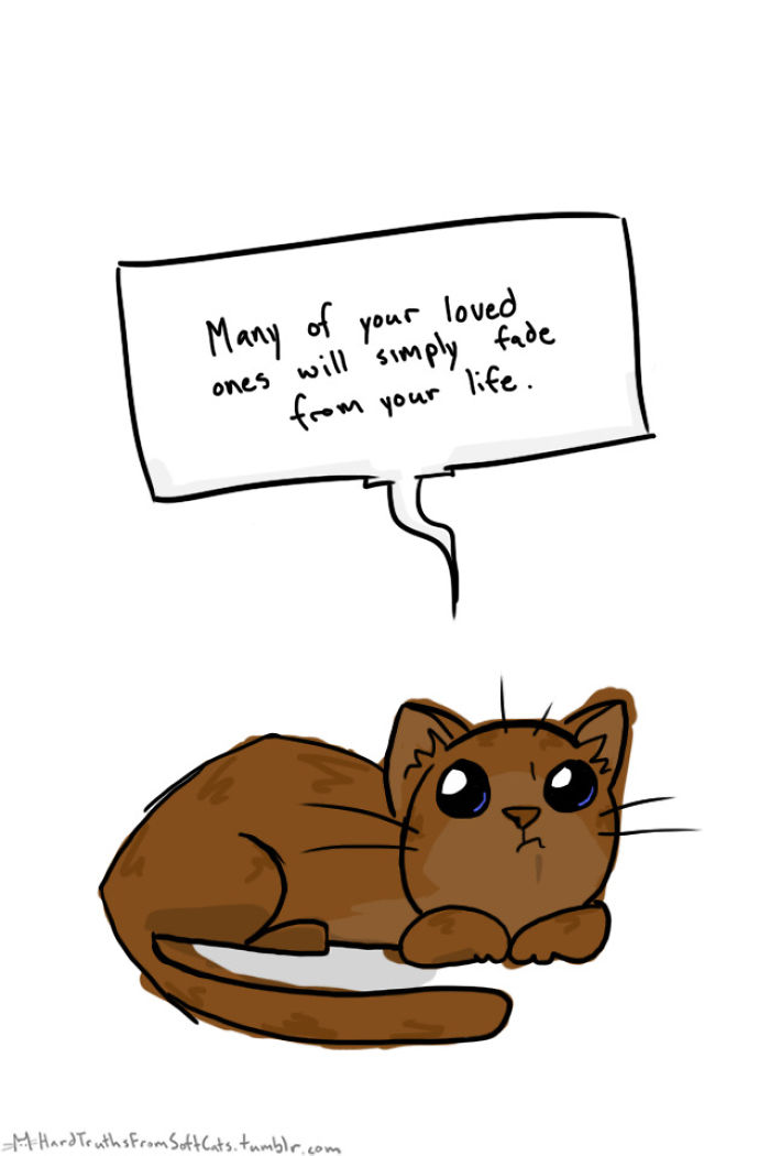 71 Brutal Life Truths Told By Cute Cats Will Give You Mixed Feelings