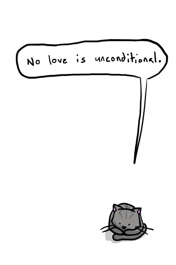 71 Brutal Life Truths Told By Cute Cats Will Give You Mixed Feelings