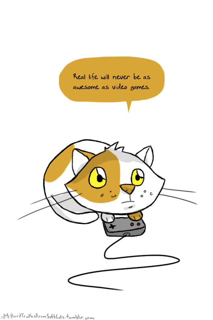 71 Brutal Life Truths Told By Cute Cats Will Give You Mixed Feelings