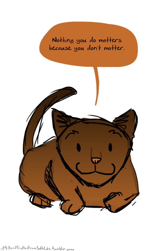 71 Brutal Life Truths Told By Cute Cats Will Give You Mixed Feelings