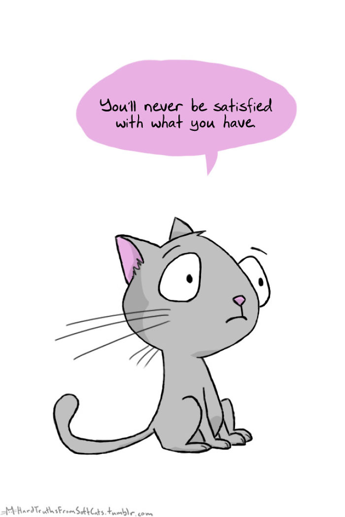71 Brutal Life Truths Told By Cute Cats Will Give You Mixed Feelings