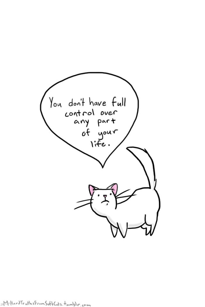 71 Brutal Life Truths Told By Cute Cats Will Give You Mixed Feelings