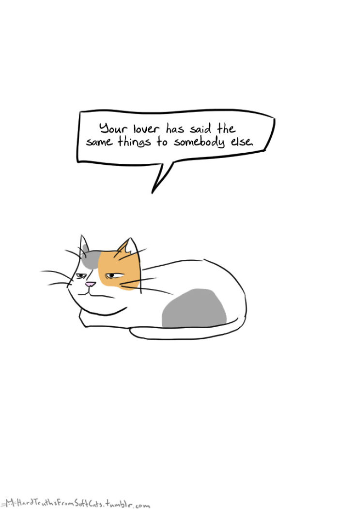71 Brutal Life Truths Told By Cute Cats Will Give You Mixed Feelings