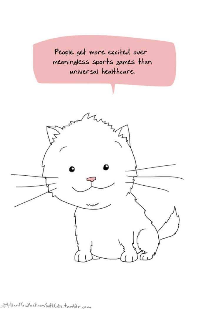 71 Brutal Life Truths Told By Cute Cats Will Give You Mixed Feelings