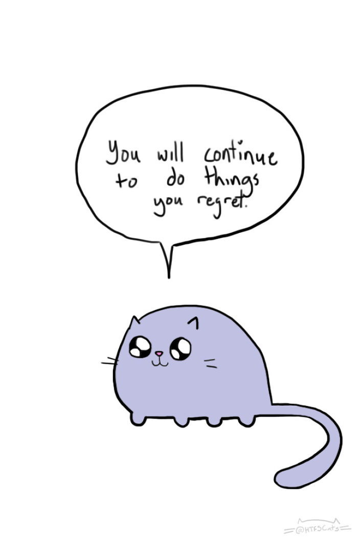 71 Brutal Life Truths Told By Cute Cats Will Give You Mixed Feelings