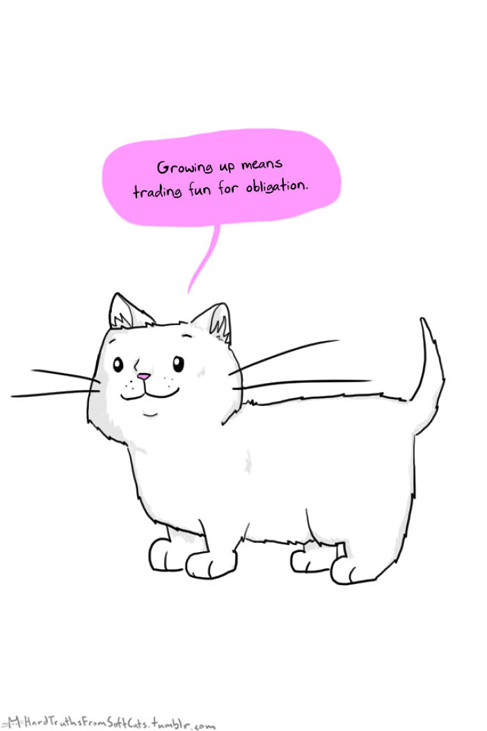 71 Brutal Life Truths Told By Cute Cats Will Give You Mixed Feelings
