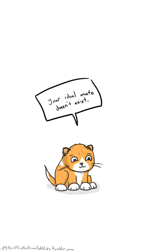 71 Brutal Life Truths Told By Cute Cats Will Give You Mixed Feelings