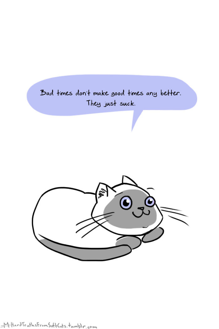 71 Brutal Life Truths Told By Cute Cats Will Give You Mixed Feelings
