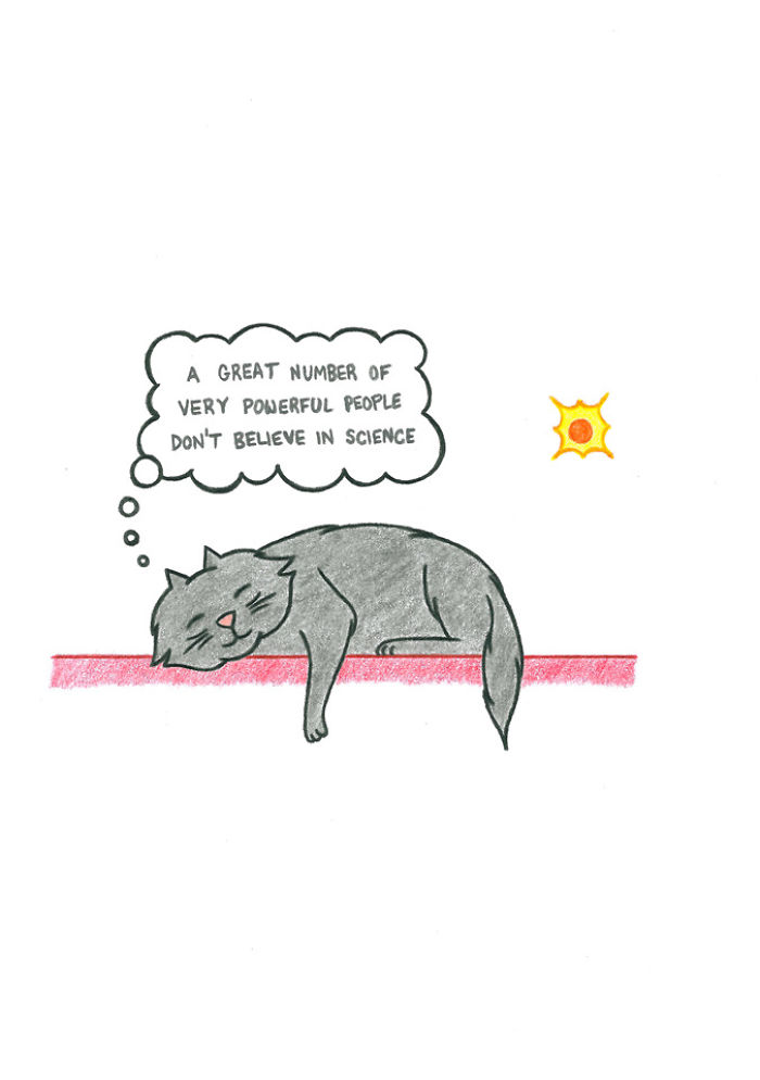 71 Brutal Life Truths Told By Cute Cats Will Give You Mixed Feelings