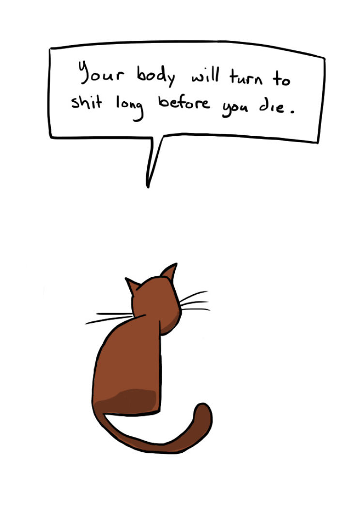 71 Brutal Life Truths Told By Cute Cats Will Give You Mixed Feelings