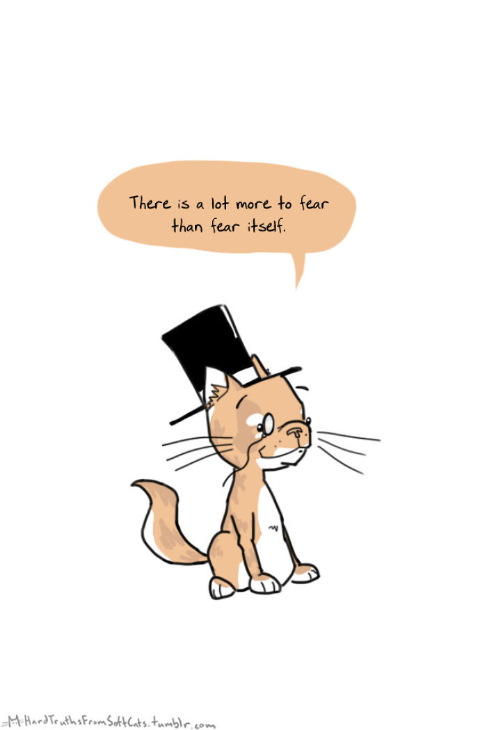 71 Brutal Life Truths Told By Cute Cats Will Give You Mixed Feelings