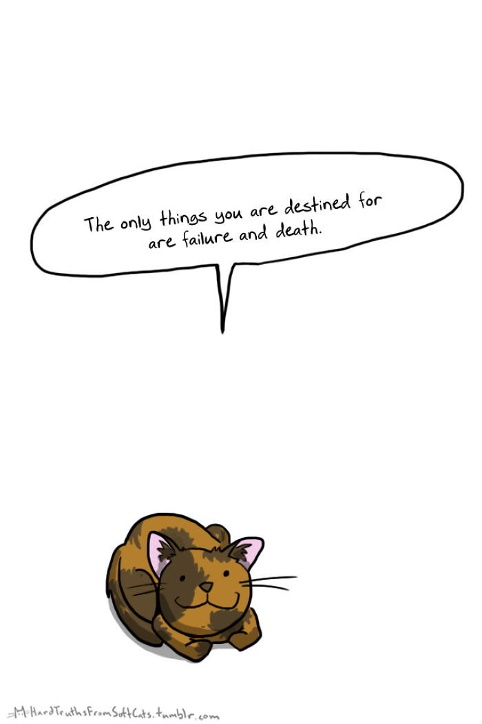 71 Brutal Life Truths Told By Cute Cats Will Give You Mixed Feelings