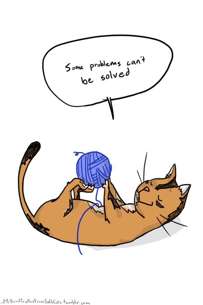 71 Brutal Life Truths Told By Cute Cats Will Give You Mixed Feelings