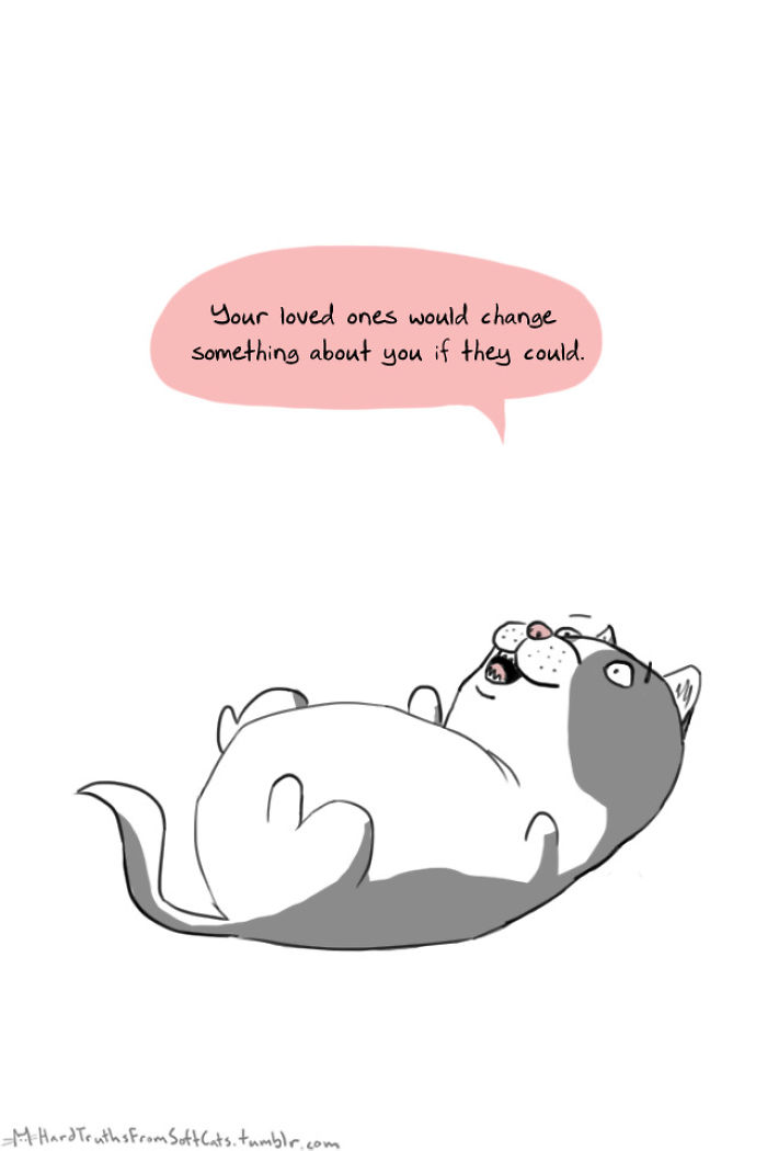 71 Brutal Life Truths Told By Cute Cats Will Give You Mixed Feelings