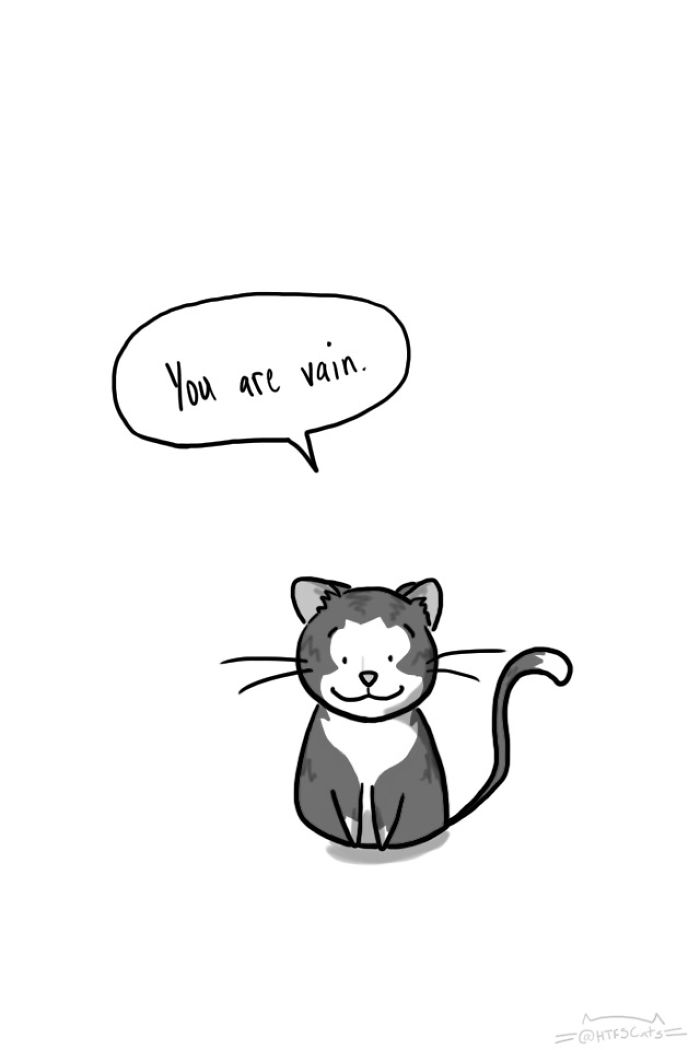 71 Brutal Life Truths Told By Cute Cats Will Give You Mixed Feelings