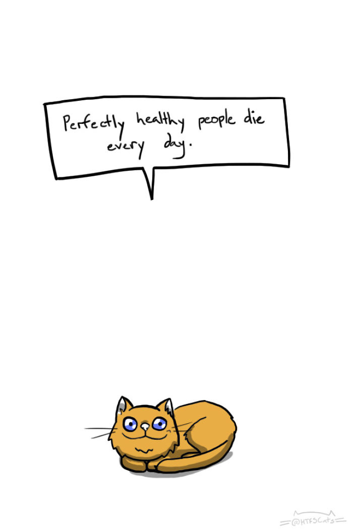 71 Brutal Life Truths Told By Cute Cats Will Give You Mixed Feelings