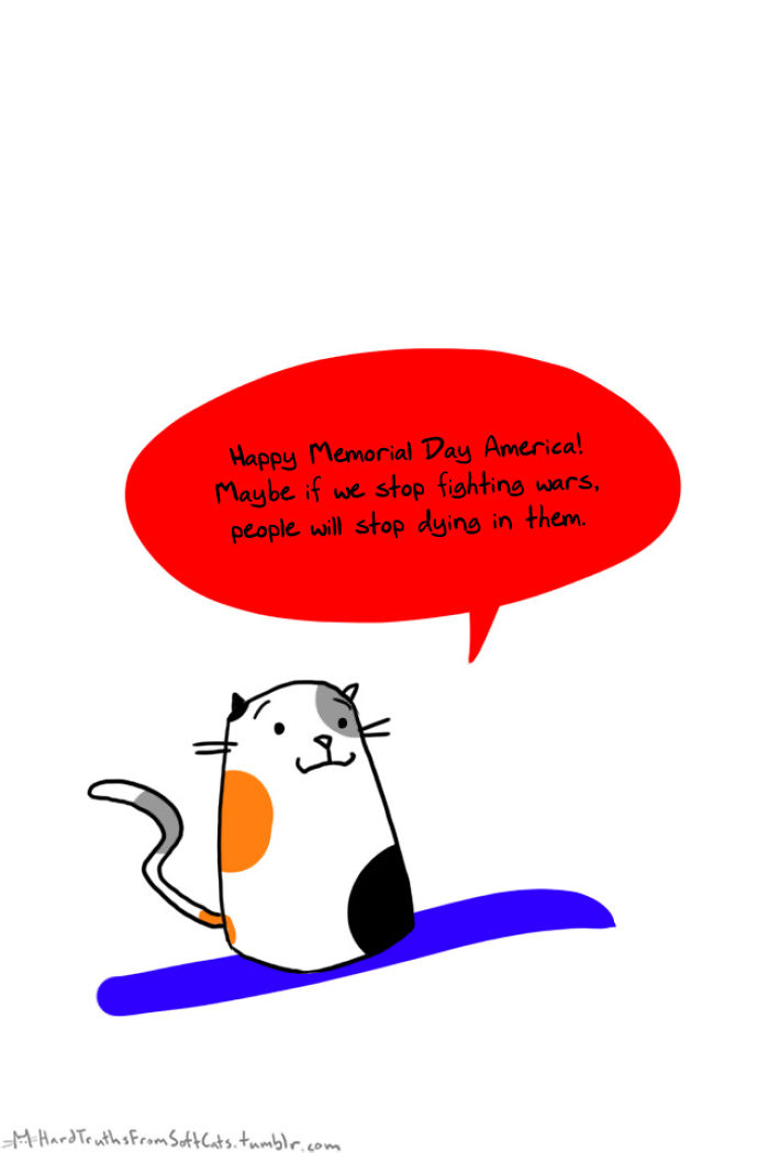 71 Brutal Life Truths Told By Cute Cats Will Give You Mixed Feelings