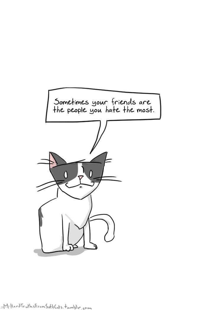 71 Brutal Life Truths Told By Cute Cats Will Give You Mixed Feelings