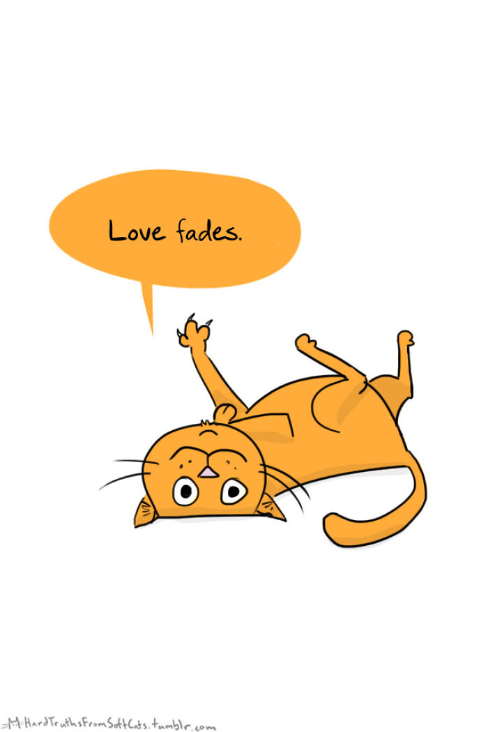 71 Brutal Life Truths Told By Cute Cats Will Give You Mixed Feelings