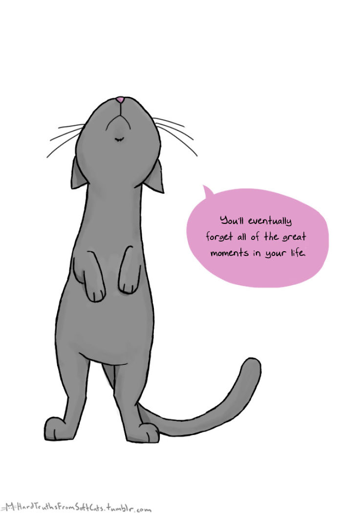 71 Brutal Life Truths Told By Cute Cats Will Give You Mixed Feelings