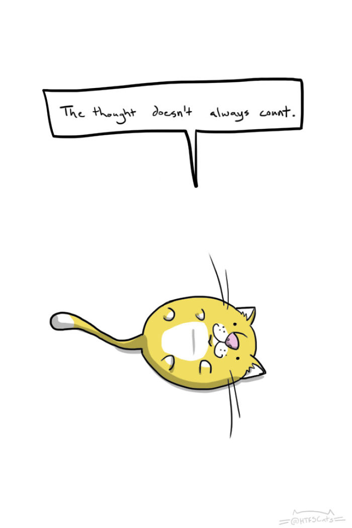 71 Brutal Life Truths Told By Cute Cats Will Give You Mixed Feelings