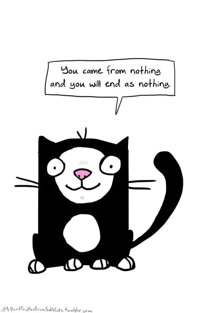 71 Brutal Life Truths Told By Cute Cats Will Give You Mixed Feelings
