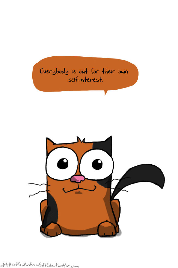71 Brutal Life Truths Told By Cute Cats Will Give You Mixed Feelings