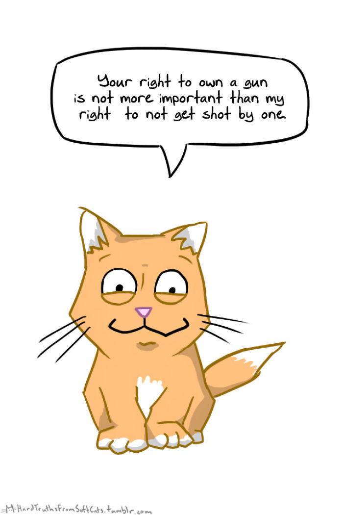 71 Brutal Life Truths Told By Cute Cats Will Give You Mixed Feelings