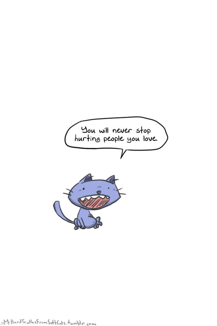 71 Brutal Life Truths Told By Cute Cats Will Give You Mixed Feelings