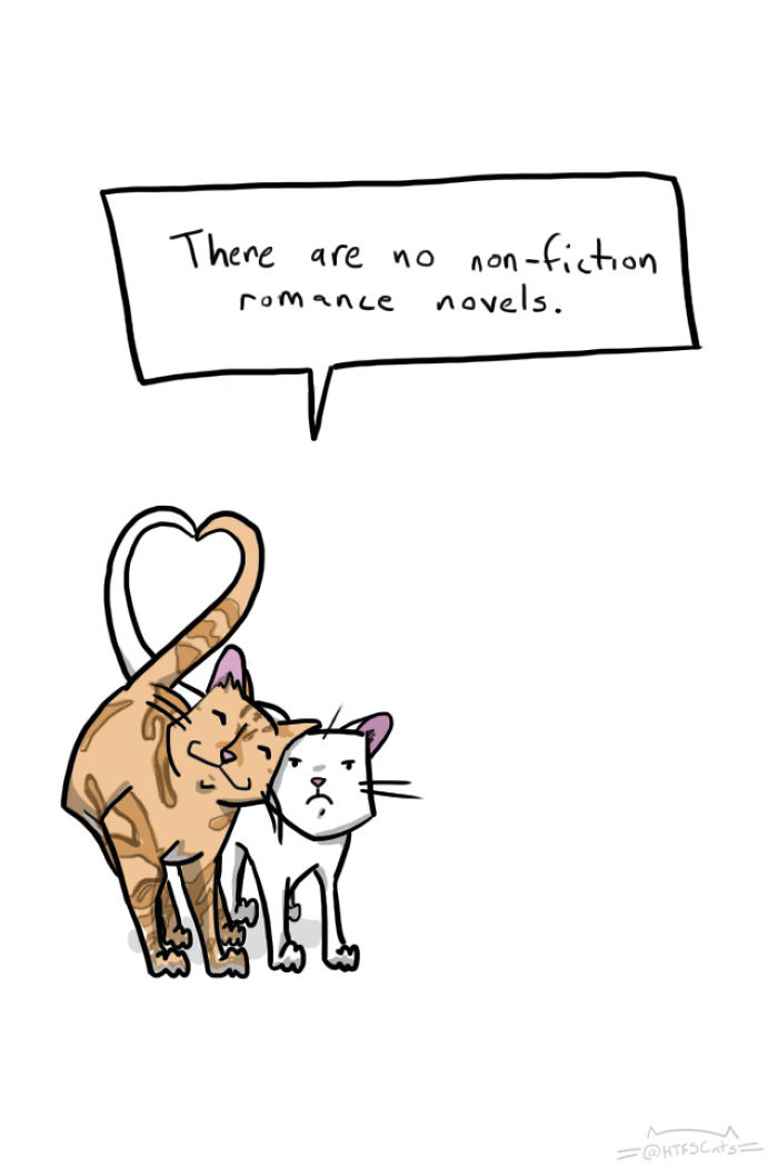 71 Brutal Life Truths Told By Cute Cats Will Give You Mixed Feelings