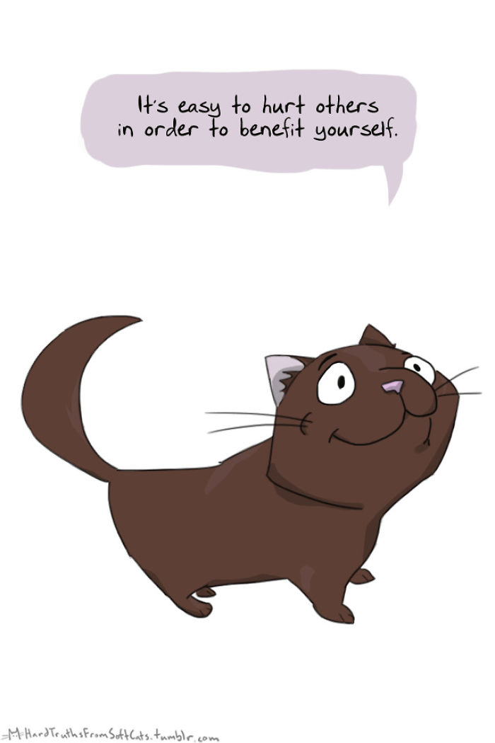 71 Brutal Life Truths Told By Cute Cats Will Give You Mixed Feelings