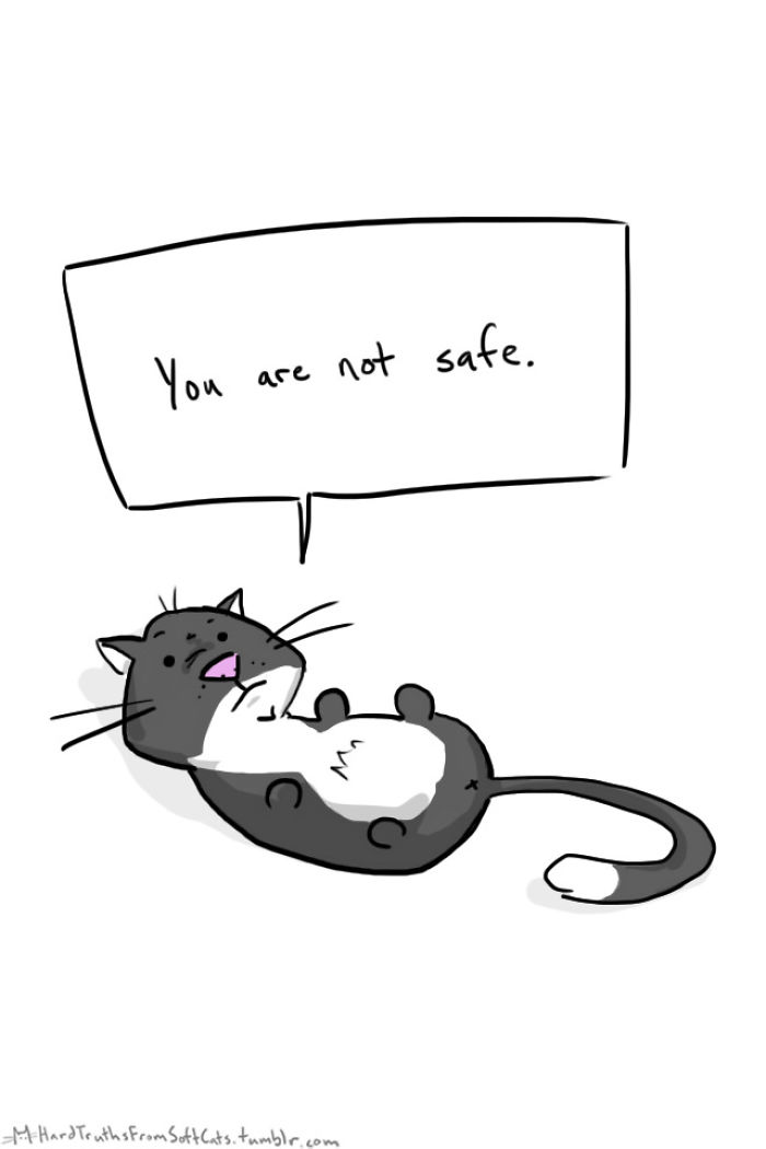 71 Brutal Life Truths Told By Cute Cats Will Give You Mixed Feelings