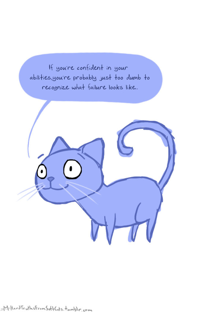 71 Brutal Life Truths Told By Cute Cats Will Give You Mixed Feelings