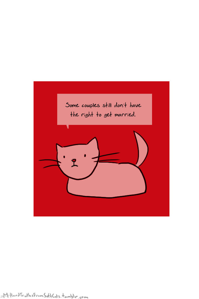 71 Brutal Life Truths Told By Cute Cats Will Give You Mixed Feelings