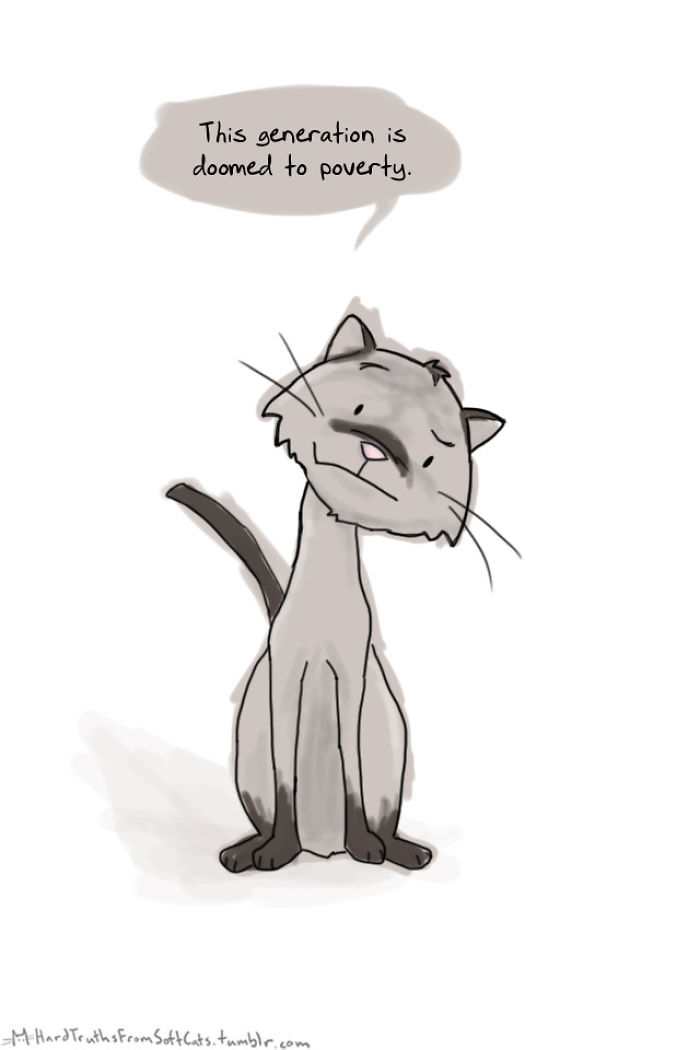 71 Brutal Life Truths Told By Cute Cats Will Give You Mixed Feelings