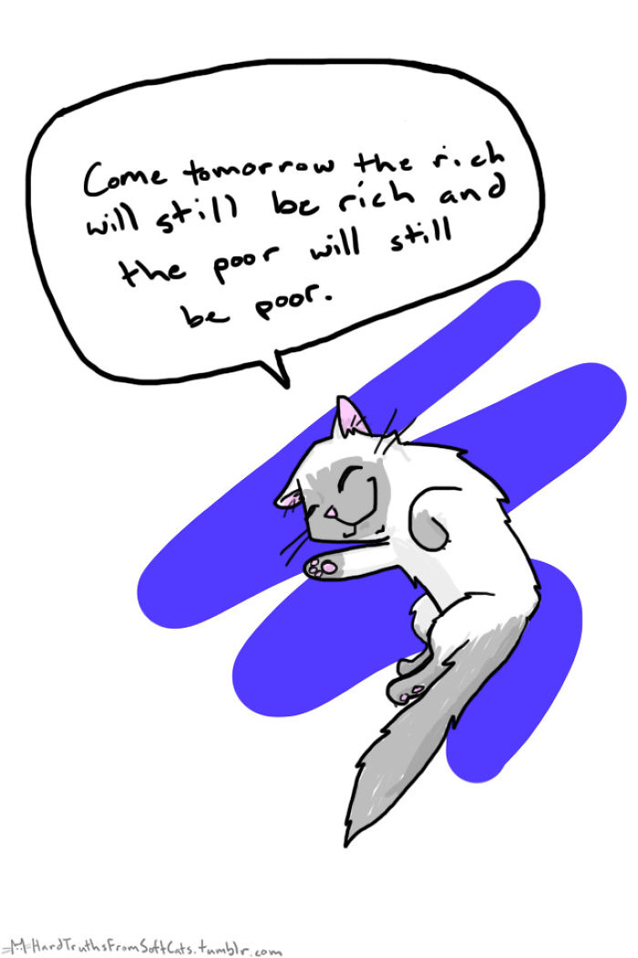 71 Brutal Life Truths Told By Cute Cats Will Give You Mixed Feelings