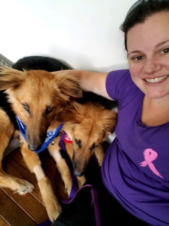Shelter Dogs Frightened To Be Separated Wouldn&#8217;t Let Go Of Each Other, So Someone Adopted Them Both